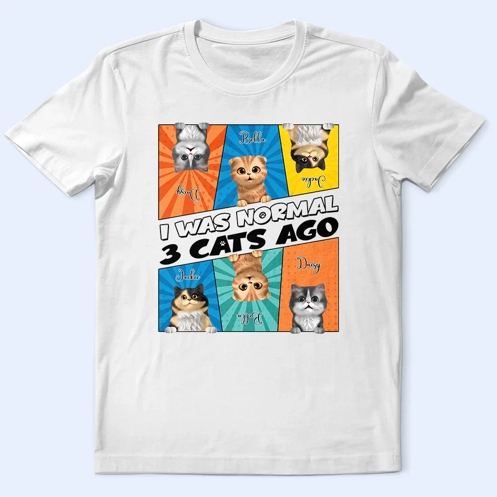 I Was Normal 3 Three Chinchillas Ago, Funny Animal T-Shirt
