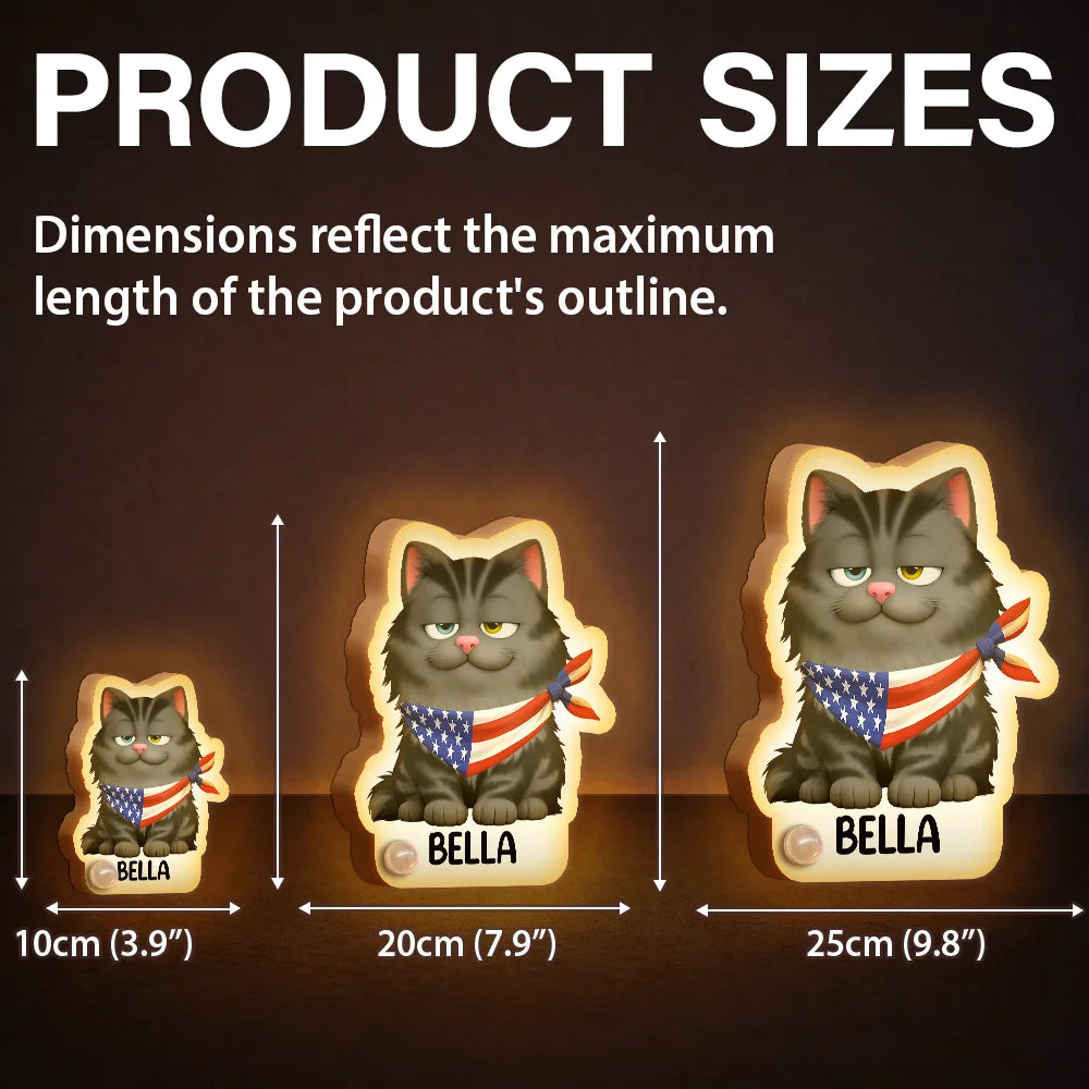 Independence Day,Pet Lovers,Playful,Vector - Patriotic Dog Cat With Name - Personalized Motion Sensor Night Light