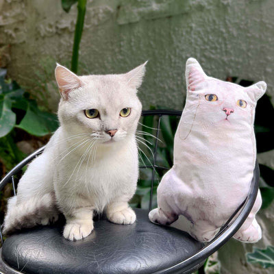 Oreiller de forme personnalisée