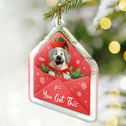 Pet Lovers,Christmas,Happy,Dog Lovers,Dog Mom,Dog Dad,Cat Lovers,Cat Mom,Cat Dad - 3D Effect Dog Cat P.s. You Got This - Personalized Custom Shaped Acrylic Ornament