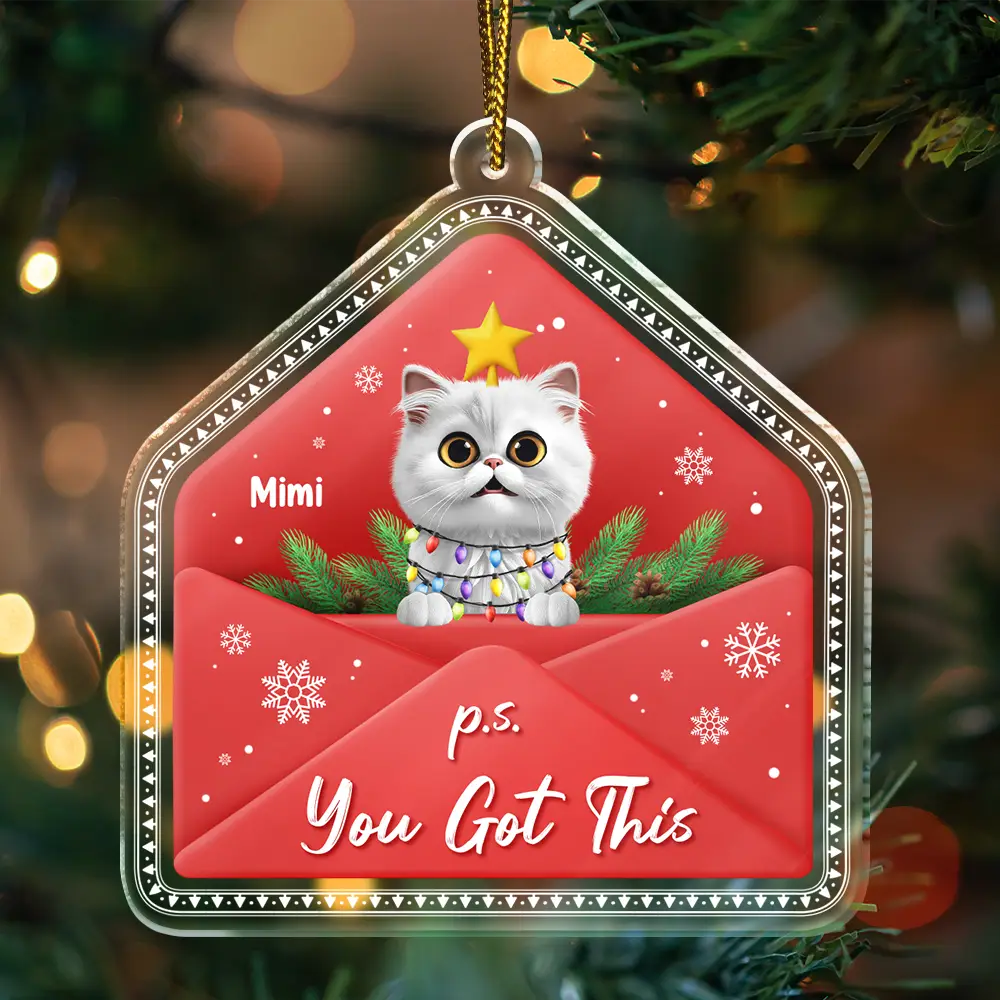 Pet Lovers,Christmas,Happy,Dog Lovers,Dog Mom,Dog Dad,Cat Lovers,Cat Mom,Cat Dad - 3D Effect Dog Cat P.s. You Got This - Personalized Custom Shaped Acrylic Ornament