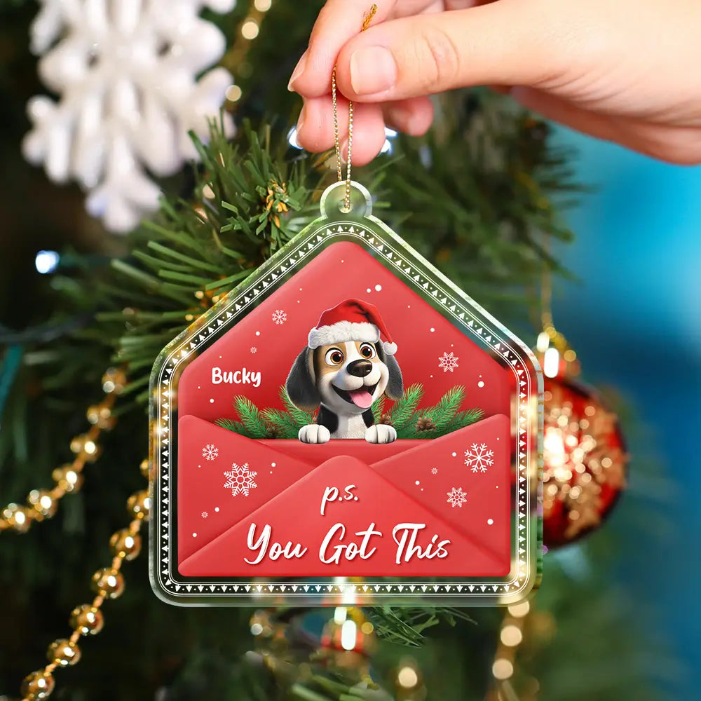 Pet Lovers,Christmas,Happy,Dog Lovers,Dog Mom,Dog Dad,Cat Lovers,Cat Mom,Cat Dad - 3D Effect Dog Cat P.s. You Got This - Personalized Custom Shaped Acrylic Ornament