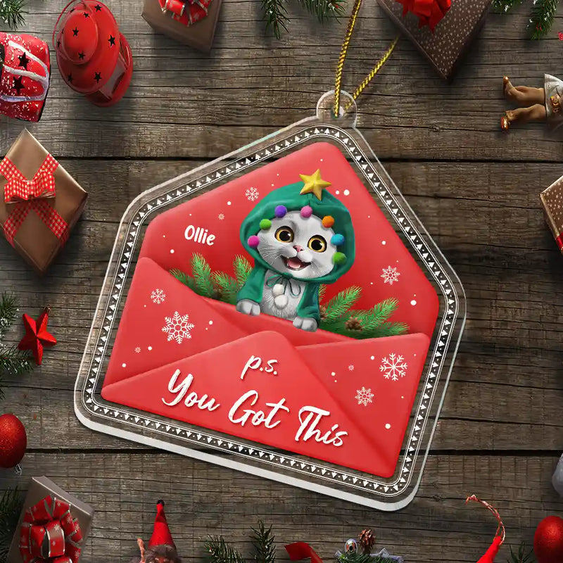 Pet Lovers,Christmas,Happy,Dog Lovers,Dog Mom,Dog Dad,Cat Lovers,Cat Mom,Cat Dad - 3D Effect Dog Cat P.s. You Got This - Personalized Custom Shaped Acrylic Ornament