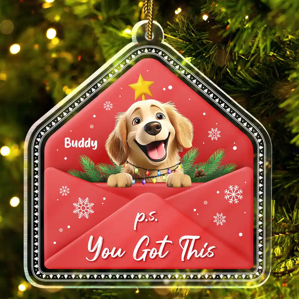 Pet Lovers,Christmas,Happy,Dog Lovers,Dog Mom,Dog Dad,Cat Lovers,Cat Mom,Cat Dad - 3D Effect Dog Cat P.s. You Got This - Personalized Custom Shaped Acrylic Ornament