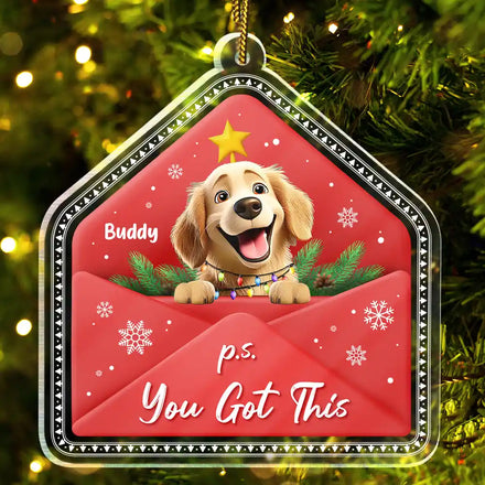 3D Effect Dog Cat P.s. You Got This - Personalized Custom Shaped Acrylic Ornament
