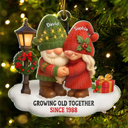 Gift For Couples, Old Couples, Gift For Husband, Gift For Wife, Christmas, Love, Top Market - 3D Effect Gnome Couple Growing Old Together Christmas - Personalized Custom Shaped Acrylic Ornament