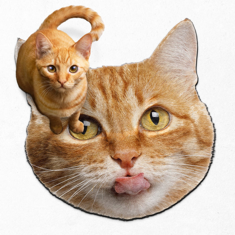 Custom Photo Funny Face Dog Cat - Home Decor For Pet Lovers - Personalized Custom Shaped Photo Doormat