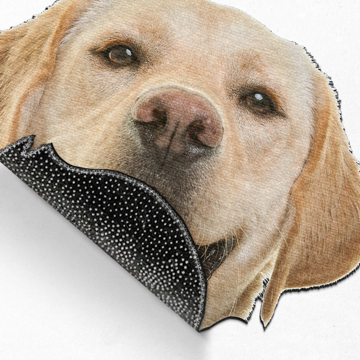 Custom Photo Funny Face Dog Cat - Home Decor For Pet Lovers - Personalized Custom Shaped Photo Doormat