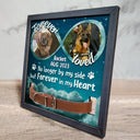 Custom Photo Forever In My Heart - Memorial, Sympathy Gift For Dog Owners, Cat Lovers - Personalized Pet Loss Sign, Collar Frame