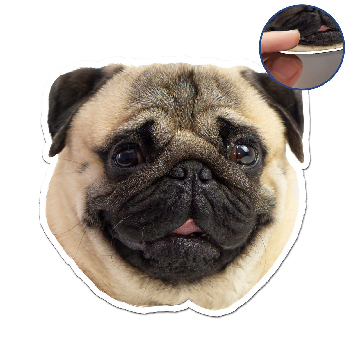 Photo personnalisée avec visage drôle d'animal de compagnie pour enfants - Cadeau pour parents, grands-parents et amoureux des animaux - Aimant personnalisé