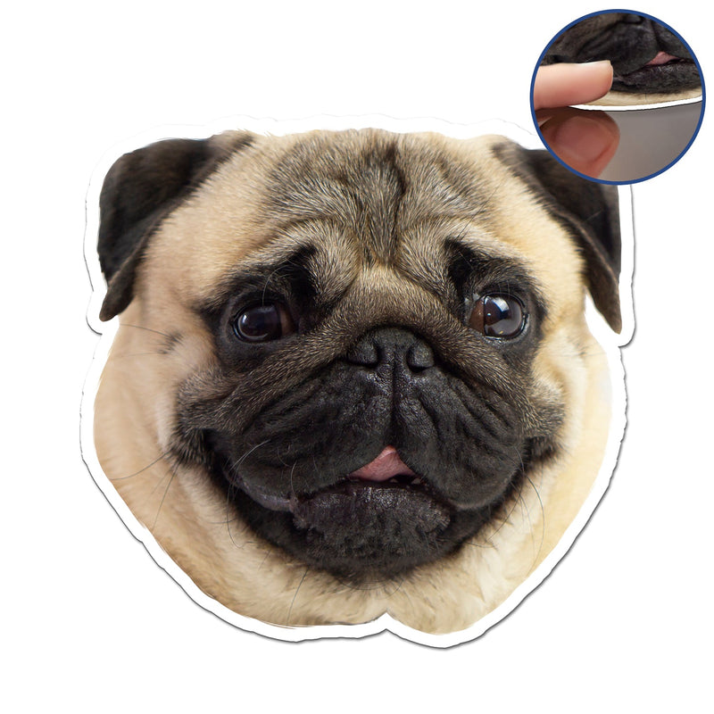 Photo personnalisée avec visage drôle d'animal de compagnie pour enfants - Cadeau pour parents, grands-parents et amoureux des animaux - Aimant personnalisé