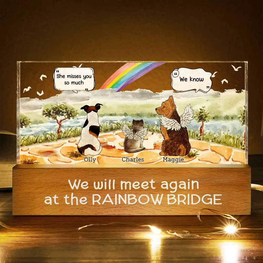 Mémorial pour animaux de compagnie « Ils parlent toujours de toi » - Lumière LED rectangulaire personnalisée 