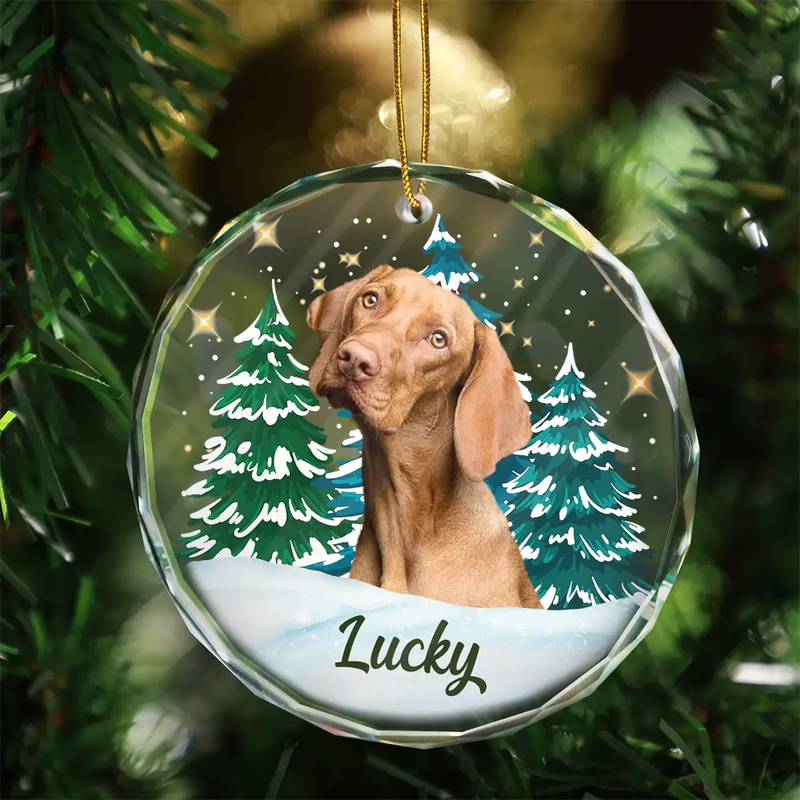 Custom Photo Pet Face Christmas Trees - Personalized Combo Circle Glass Ornament