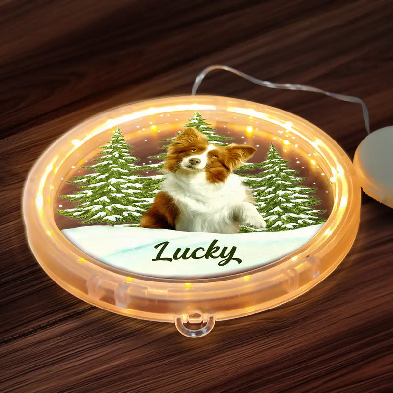 Pet Lovers - Custom Photo Pet Face Christmas Gift For Dog Cat Lovers - Personalized LED Pendant Light