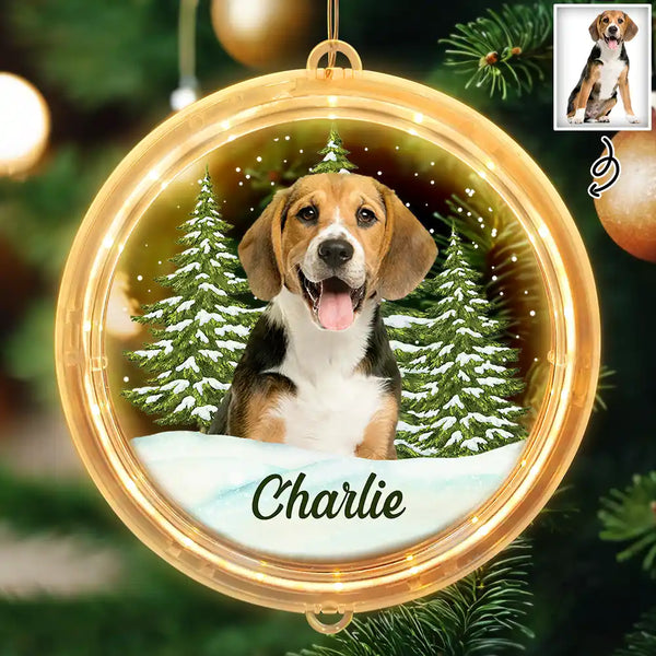 Pet Lovers - Custom Photo Pet Face Christmas Gift For Dog Cat Lovers - Personalized LED Pendant Light