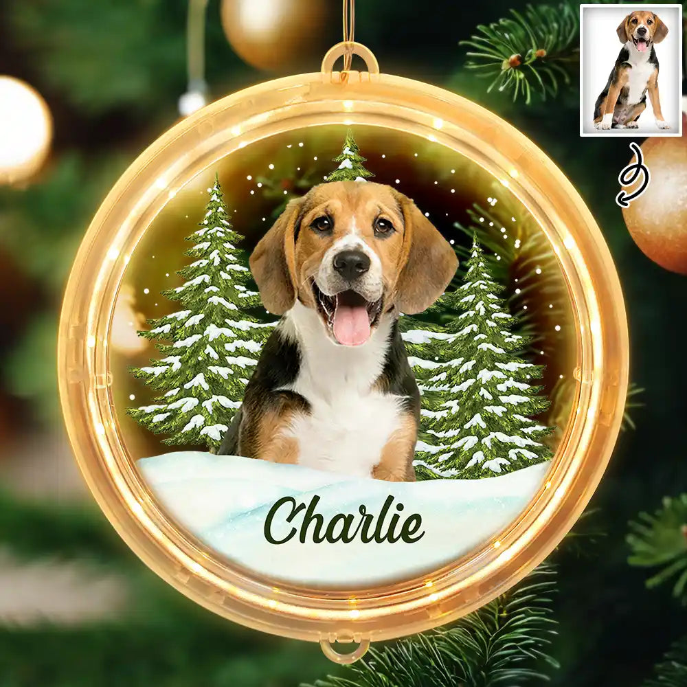 Pet Lovers - Custom Photo Pet Face Christmas Gift For Dog Cat Lovers - Personalized LED Pendant Light