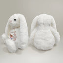 A Hug From Mom 3D Effect - Personalized Soft Toy Bunny