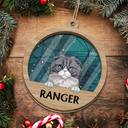 Best Friend For Life Dog Cat Christmas Stained Glass - Personalized Suncatcher Ornament