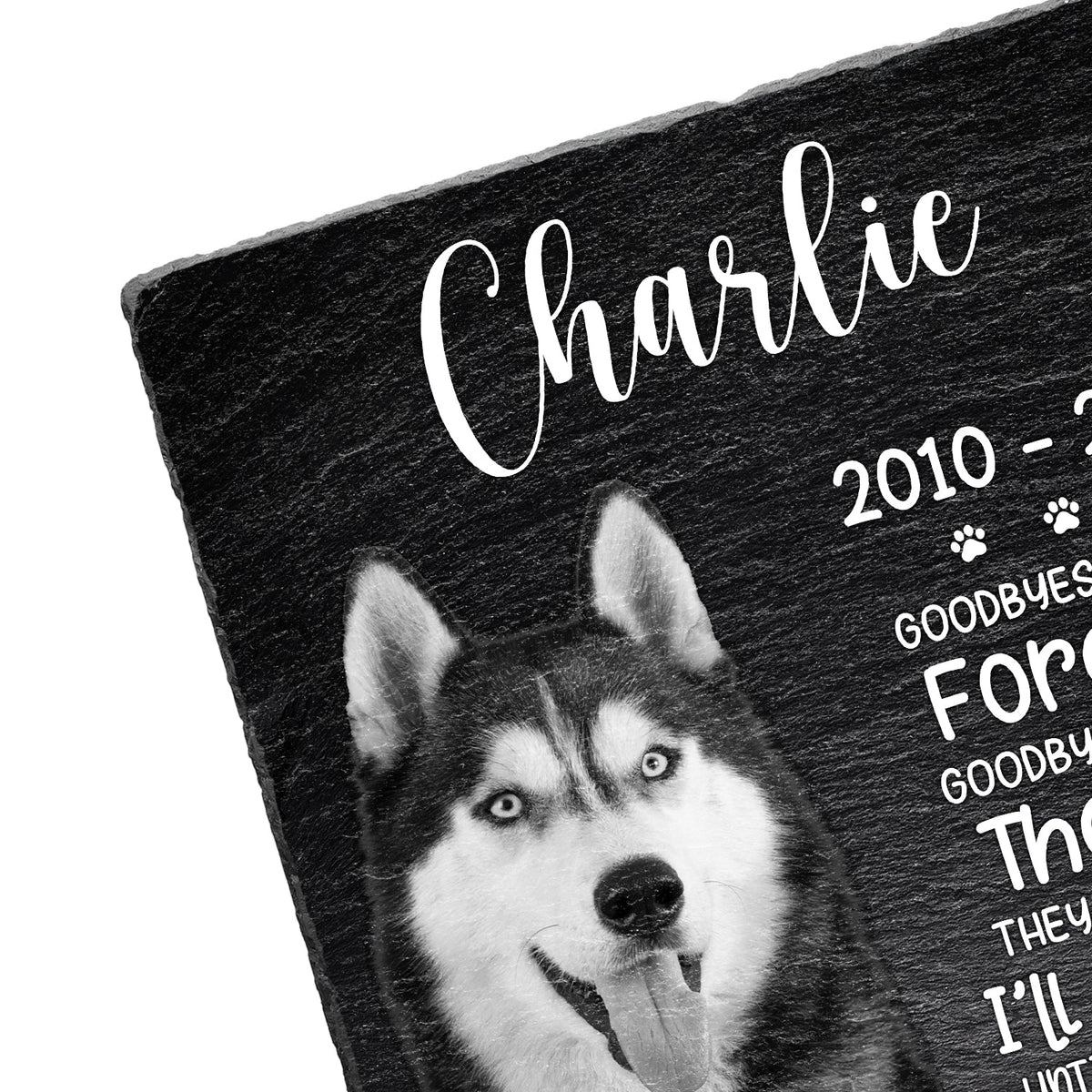 Custom Photo You Will Never Leave Our Hearts - Memorial Gift For Pet Lovers - Personalized Rectangle Memorial Garden Stone
