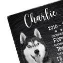 Custom Photo You Will Never Leave Our Hearts - Memorial Gift For Pet Lovers - Personalized Rectangle Memorial Garden Stone