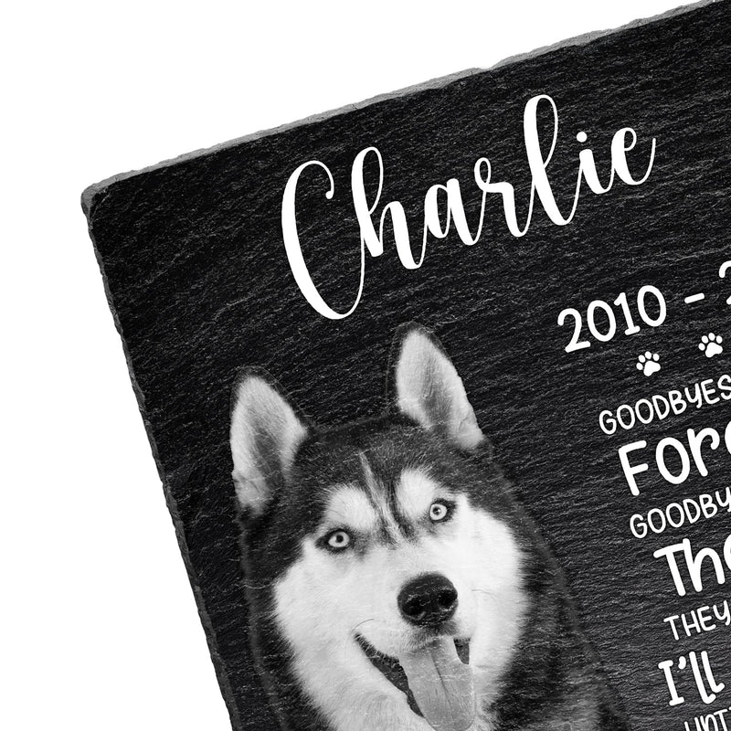 Custom Photo You Will Never Leave Our Hearts - Memorial Gift For Pet Lovers - Personalized Rectangle Memorial Garden Stone