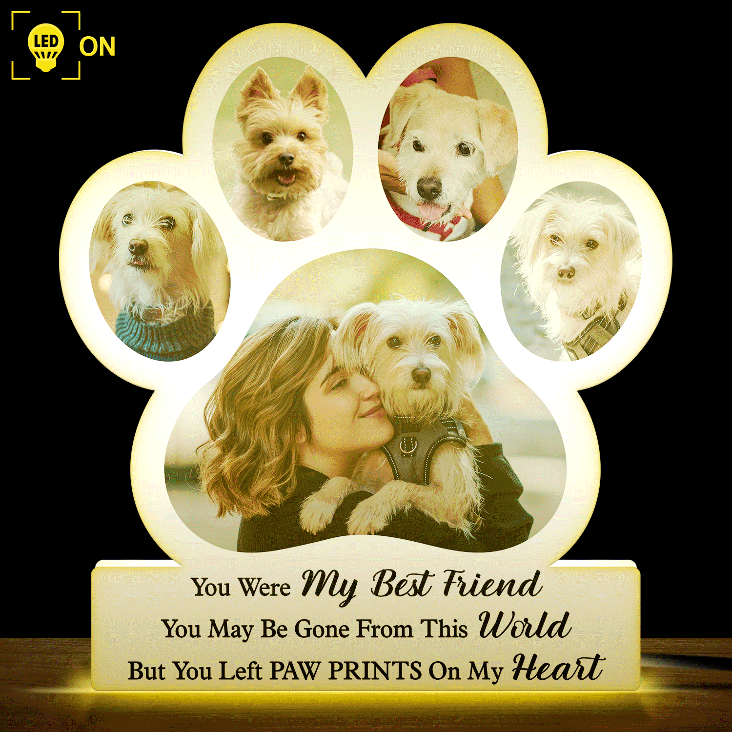 Photo personnalisée Tu étais mon bonjour préféré et mon au revoir le plus dur - Cadeau commémoratif pour les amoureux des animaux, maman de chien, papa de chien, maman de chat, papa de chat - Boîte à lumière photo personnalisée en forme personnalisée