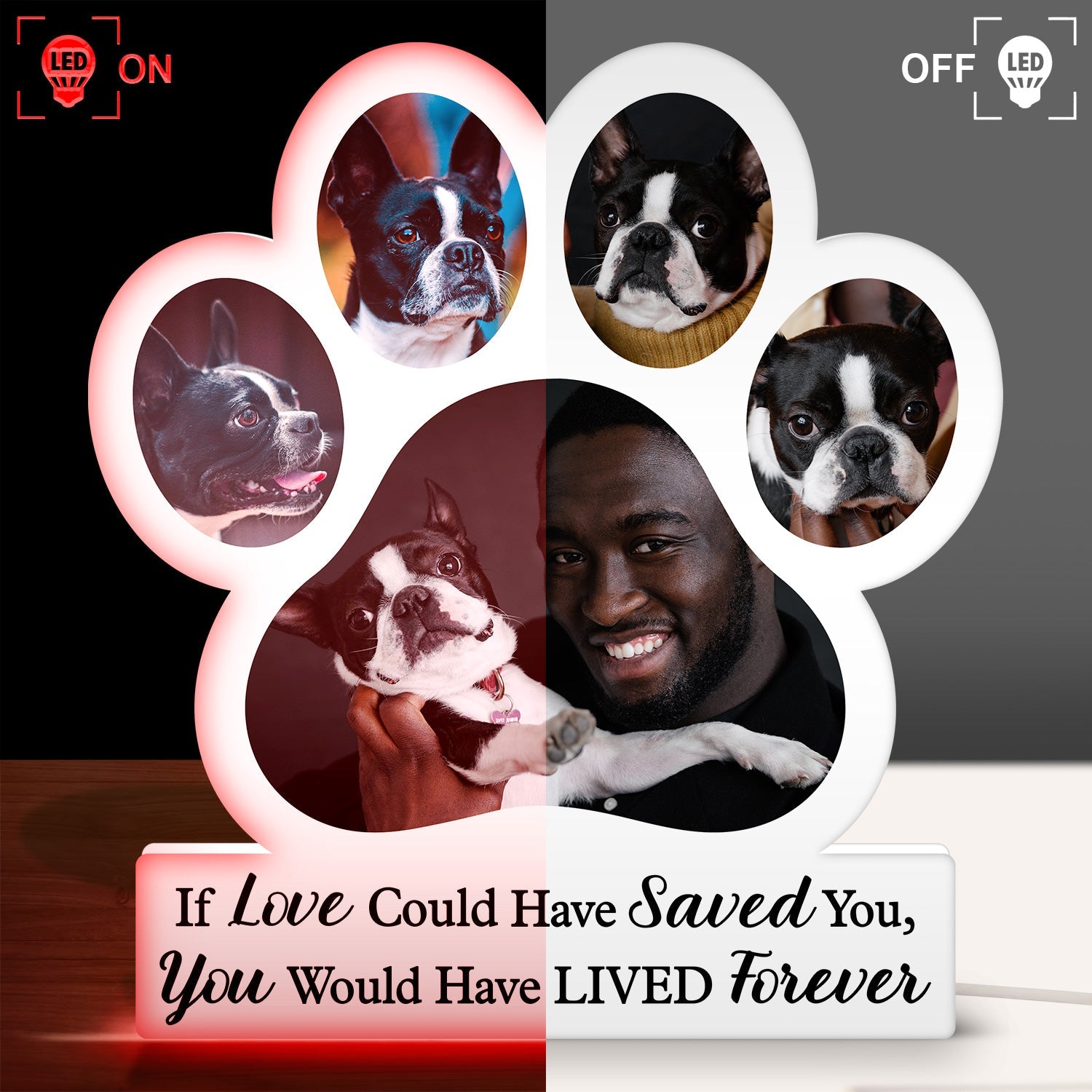 Photo personnalisée Tu étais mon bonjour préféré et mon au revoir le plus dur - Cadeau commémoratif pour les amoureux des animaux, maman de chien, papa de chien, maman de chat, papa de chat - Boîte à lumière photo personnalisée en forme personnalisée