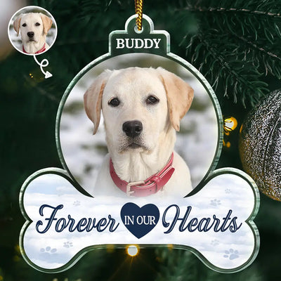 Custom Shaped Acrylic Ornament