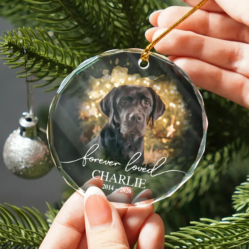 Ornement photo personnalisé pour animal de compagnie, aimé pour toujours - Ornement en verre rond personnalisé 