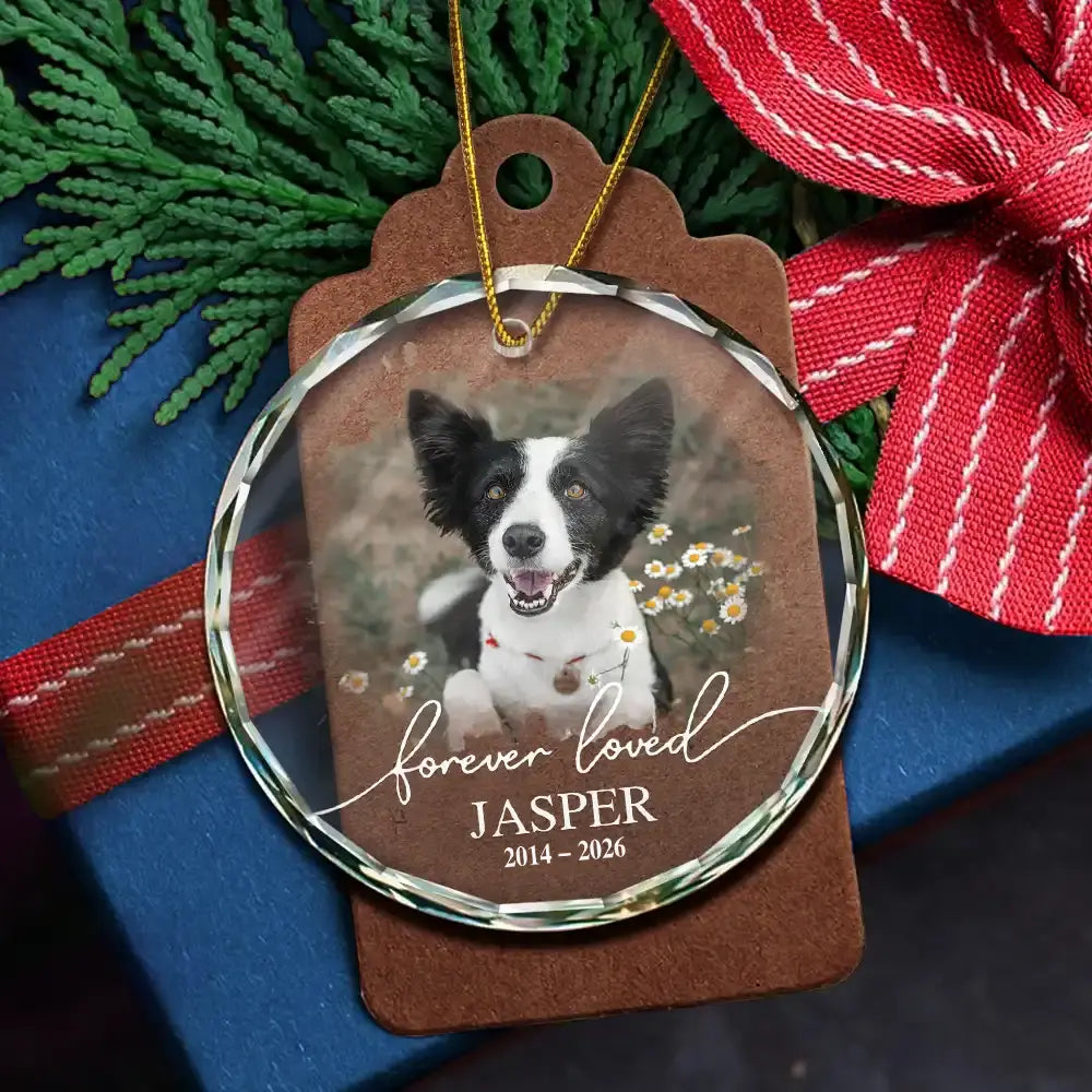 Ornement photo personnalisé pour animal de compagnie, aimé pour toujours - Ornement en verre rond personnalisé 