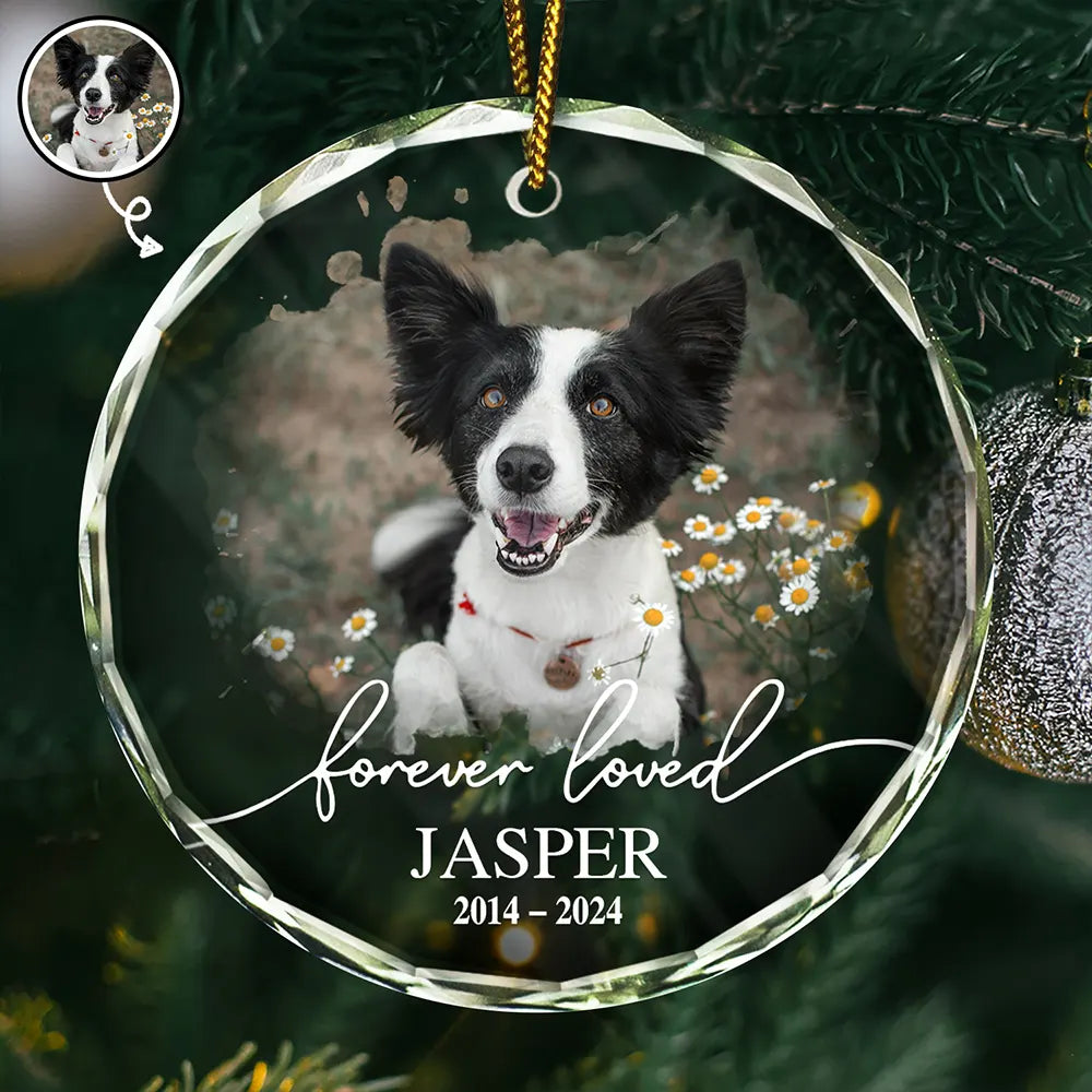 Pet Lovers, Memorial - Custom Photo Memorial Pet Forever Loved - Personalized Circle Glass Ornament