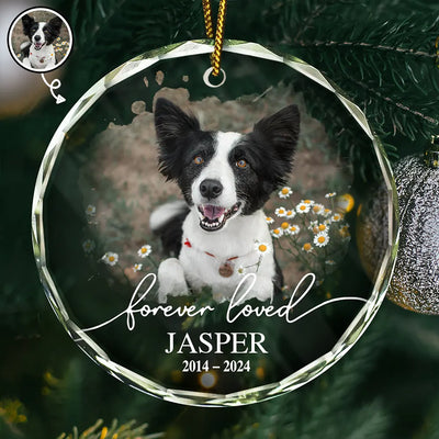 Circle Glass Ornaments