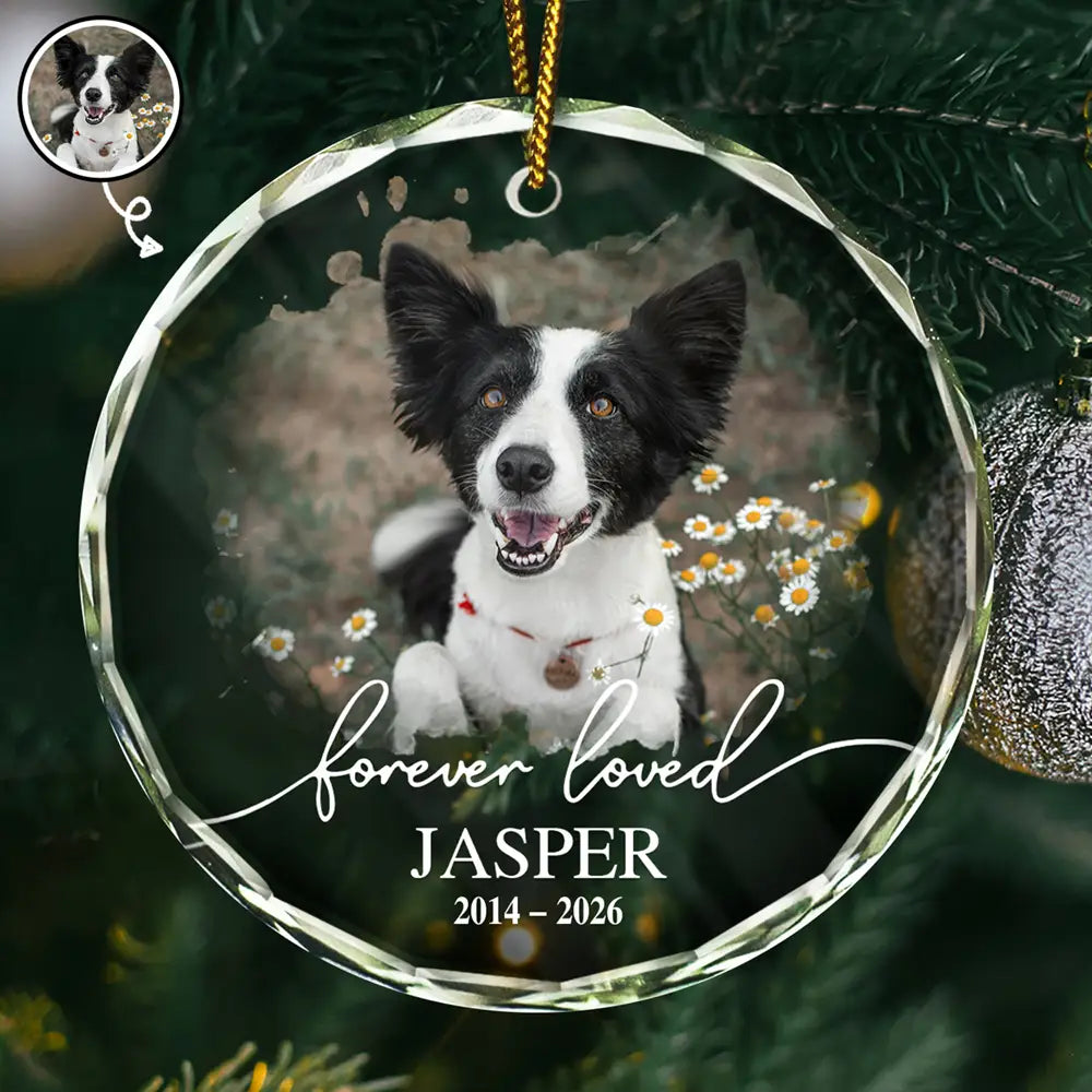 Ornement photo personnalisé pour animal de compagnie, aimé pour toujours - Ornement en verre rond personnalisé 