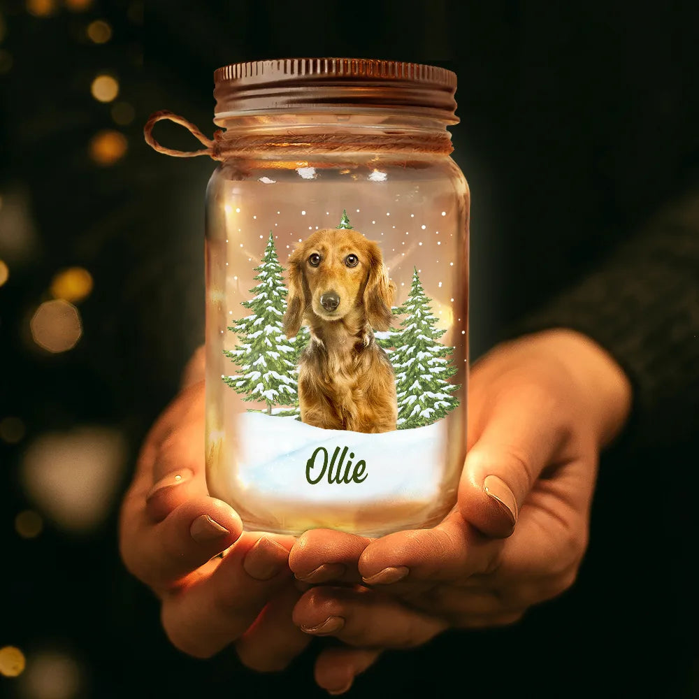 Memorial,Sad,Pet Lovers,Cat Lovers,Dog Lovers - Custom Photo Pet Memorial When Tomorrow Starts Without Me - Personalized Mason Jar Light