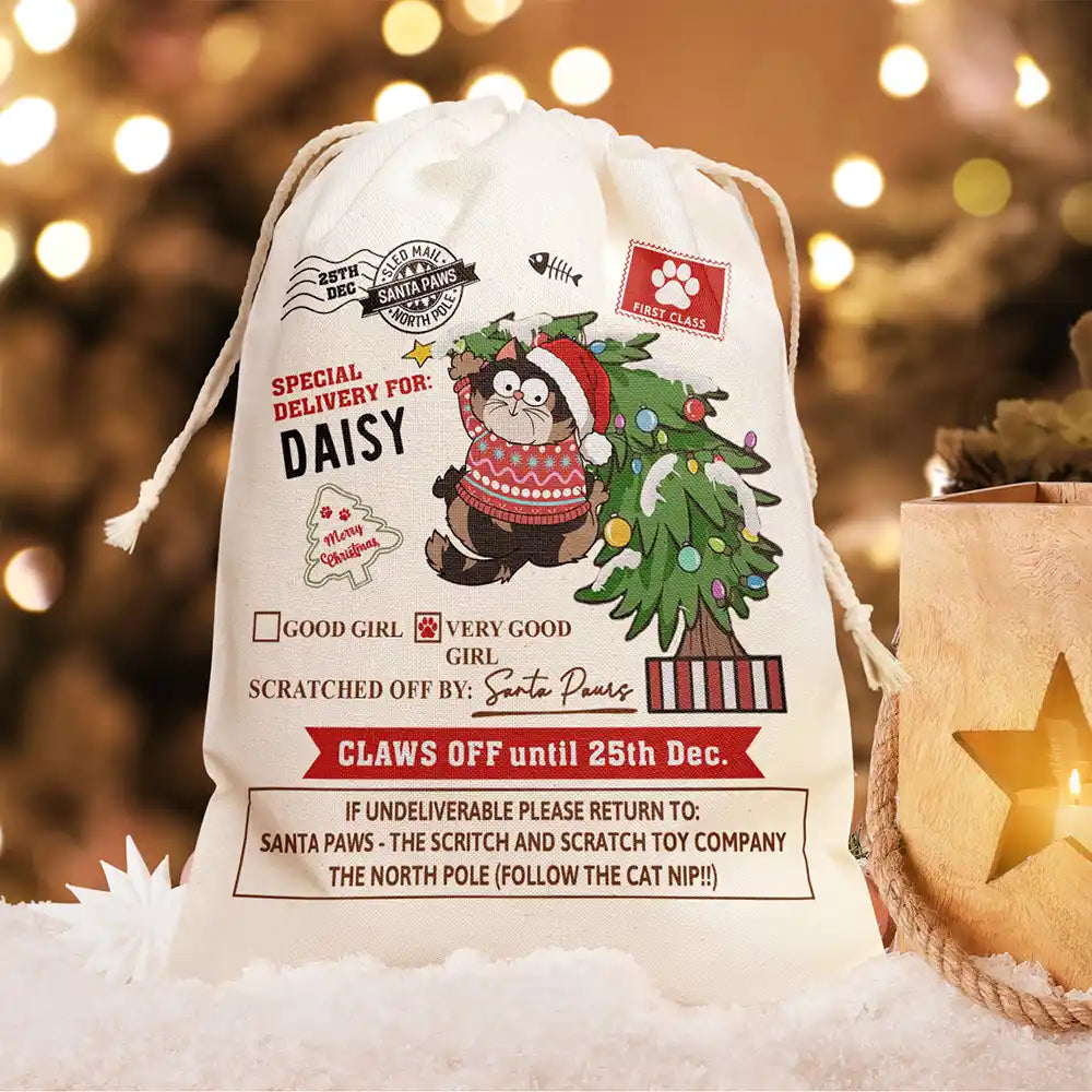 Special Delivery For Cat Scratching - Personalized Favor Bag