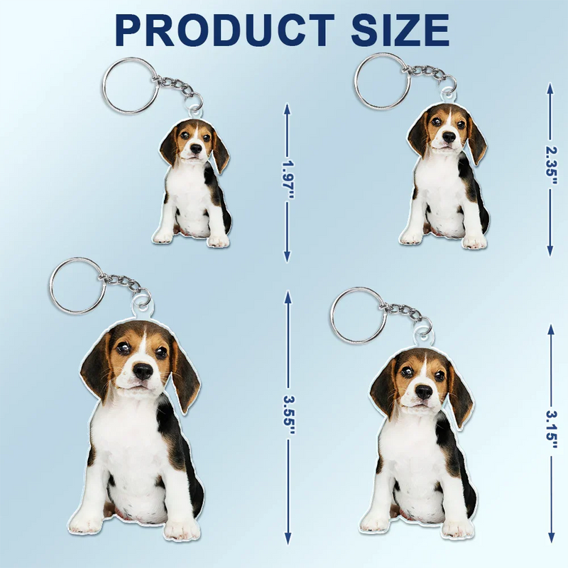 Pet Lovers, Dog Lovers, Cat Lovers - Custom Photo Every Day Is Brighter With My Furry Friend By My Side - Personalized Cutout Acrylic Keychain