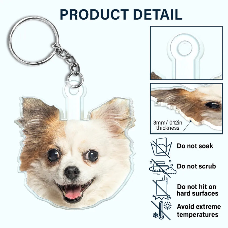 Pet Lovers, Dog Lovers, Cat Lovers - Custom Photo You Are My Sunshine - Personalized Cutout Acrylic Keychain