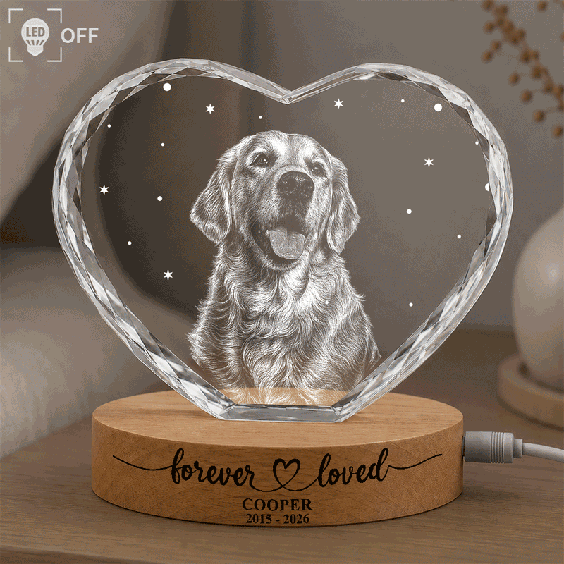 Art Design,Healing,Pet Memorial,Pet Lovers,Memorial,Photo - Pencil Sketch - Dark BG - Custom Photo White Pencil Sketch Art Forever Loved Memorial Dog Cat - Personalized Crystal Heart Shaped Lamp