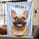 Art Design,Playful,Pet Lovers,Photo - Vivid Watercolor Art - Custom Photo Vivid Watercolor Art Happy Dog Cat Pet Stripe - Personalized Fleece Blanket, Sherpa Blanket