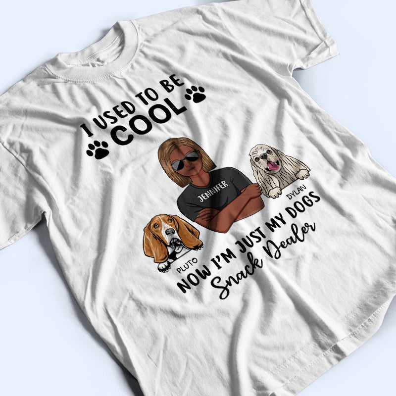 I Used To Be Cool Dog Lovers - Personalized Custom T Shirt