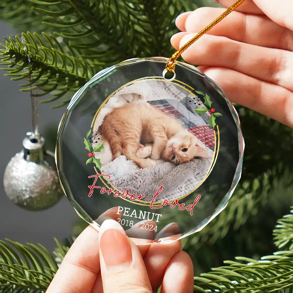 Pet Lovers, Memorial - Custom Photo Forever Loved Memorial - Personalized Circle Glass Ornament