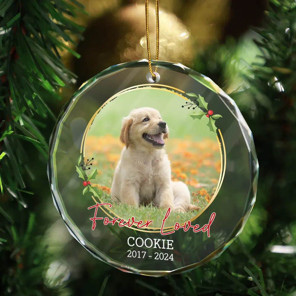 Pet Lovers, Memorial - Custom Photo Forever Loved Memorial - Personalized Circle Glass Ornament