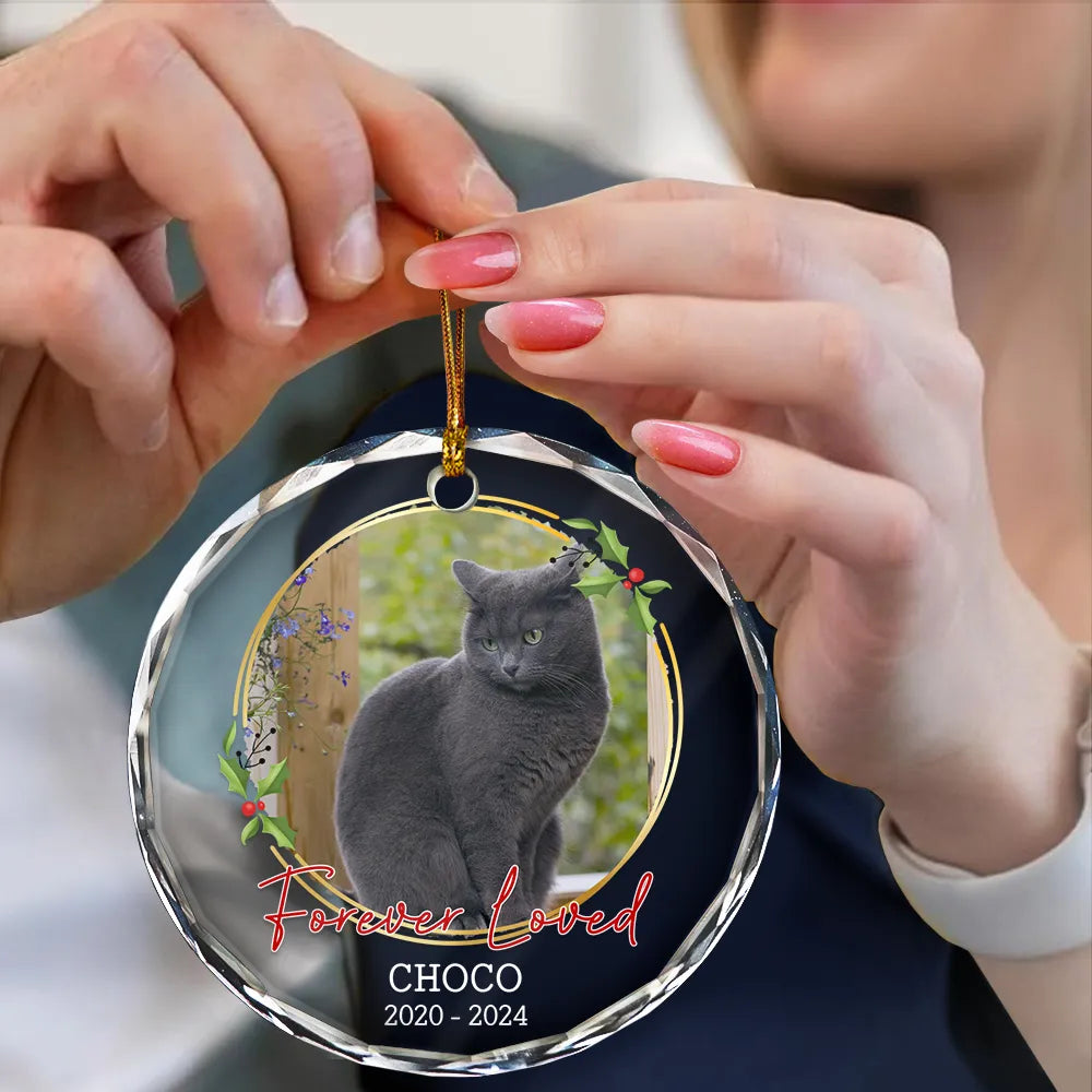 Pet Lovers, Memorial - Custom Photo Forever Loved Memorial - Personalized Circle Glass Ornament
