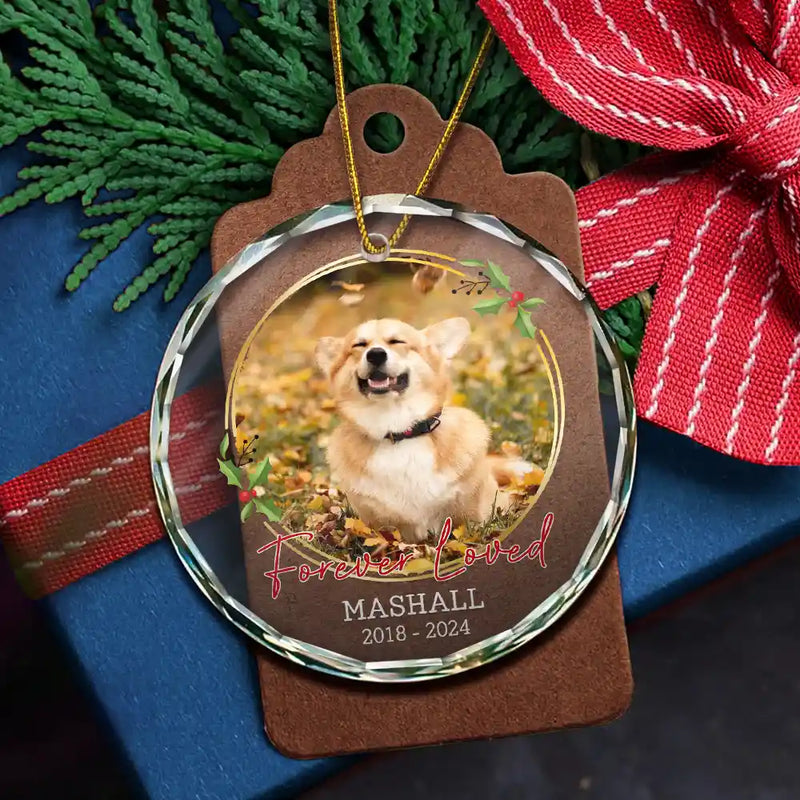 Pet Lovers, Memorial - Custom Photo Forever Loved Memorial - Personalized Circle Glass Ornament