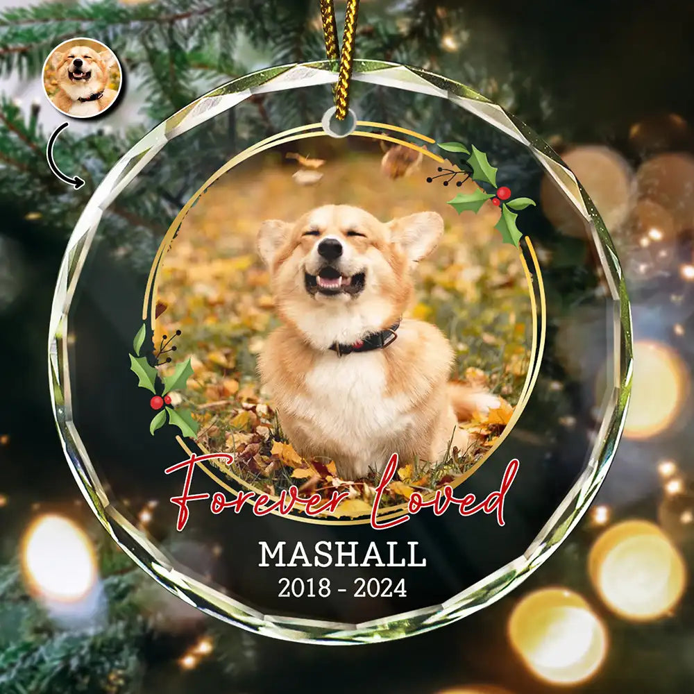 Pet Lovers, Memorial - Custom Photo Forever Loved Memorial - Personalized Circle Glass Ornament