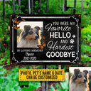 Custom Photo Dog Cat My Favorite Hello Photo Gift Pet Memorial Gift Custom Classic Metal Signs, Yard Sign, Pet Loss Gifts, Pet Sympathy, Dog Loss, Cat Loss