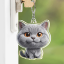 Adorable,Art Design,Pet Lovers,Photo - 3D Chibi Adorable Pet - Custom Photo 3D Chibi Pet Dog Cat Adorable - Personalized Acrylic Keychain