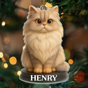 Dog Lovers,Pet Lovers,Cat Lovers,Funny,Christmas - Custom Photo 3D Effect Figure Art Dog Cat Pet - Personalized Custom Shaped Acrylic Ornament