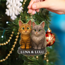 Dog Lovers,Pet Lovers,Cat Lovers,Funny,Christmas - Custom Photo 3D Effect Figure Art Dog Cat Pet - Personalized Custom Shaped Acrylic Ornament