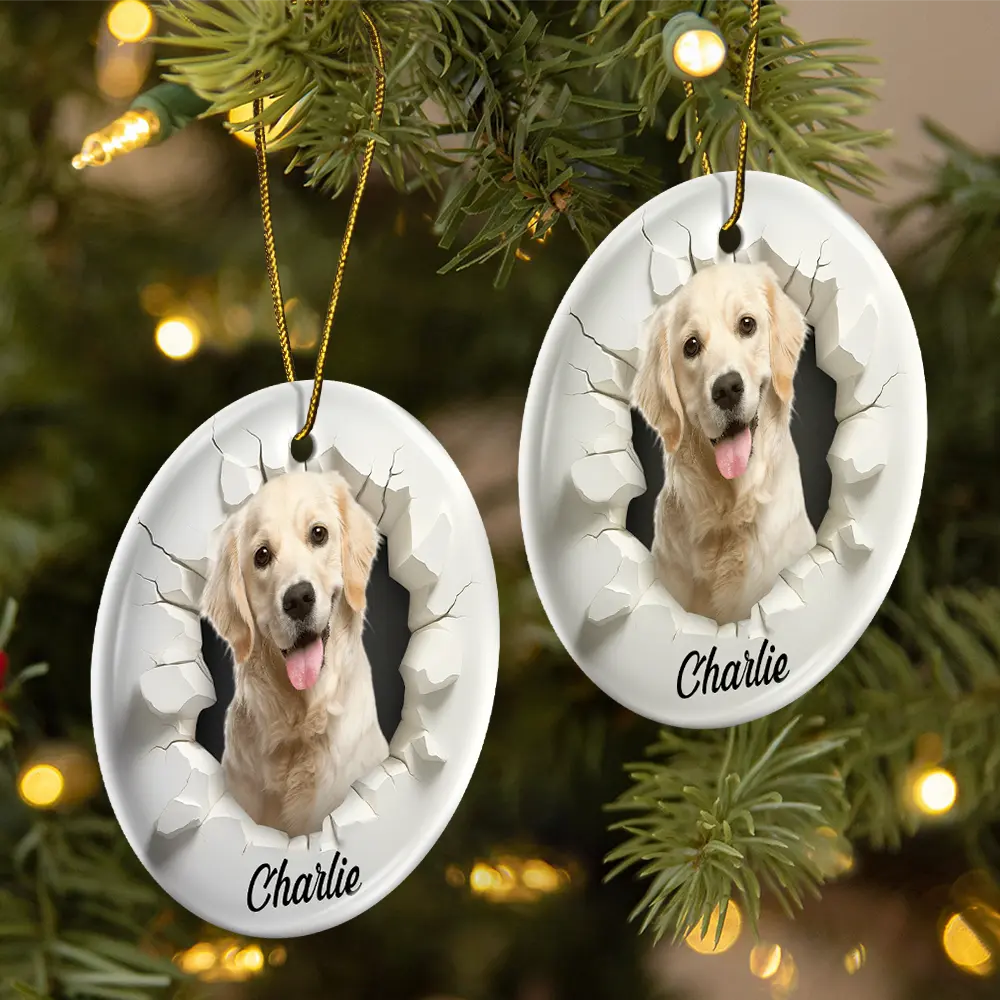Christmas, Happy, Pet Lovers, Dog Lovers, Cat Lovers - Custom Photo 3D Effect Snow Funny Dog Cat Pet - Personalized Circle Ceramic Ornament